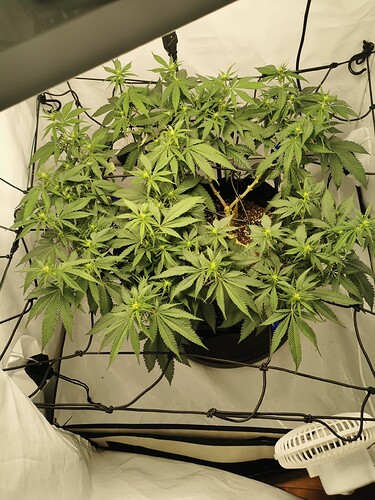 Growreport Bild 11