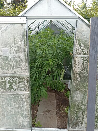 WhatsApp Bild 2024-08-22 um 18.20.12_d7936c5a