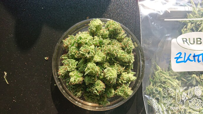 Growreport Bild 6