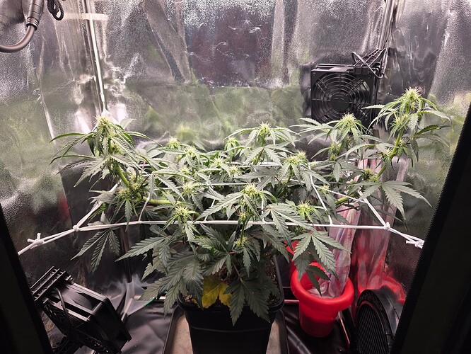 Growreport Bild 8