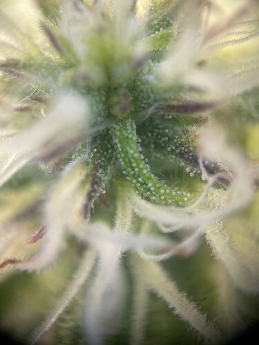 WhatsApp Bild 2024-05-10 um 10.45.42_305f5262