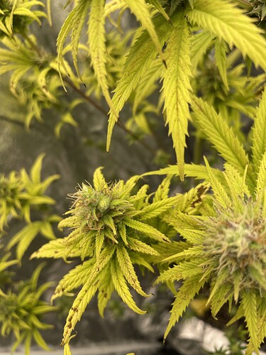 Growreport Bild 11