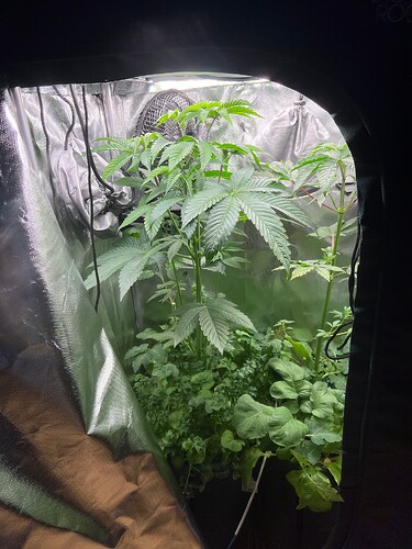 Growreport Bild 16