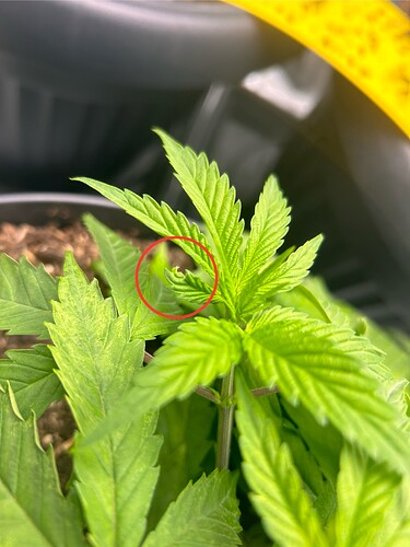 Growreport Bild 10