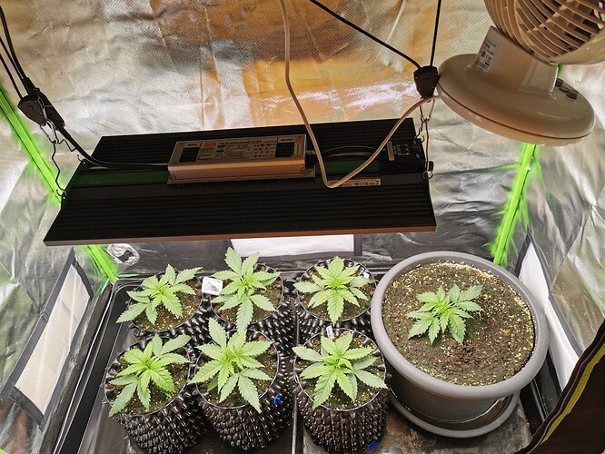 Growreport Bild 6