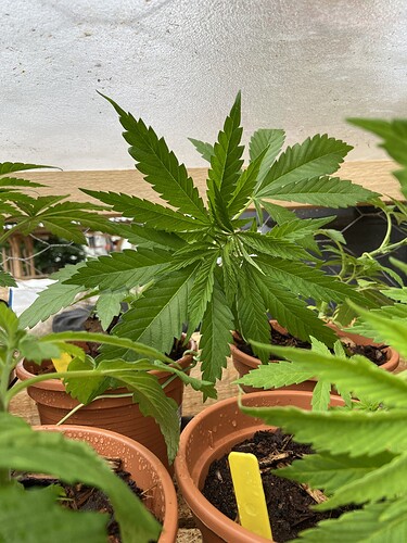 Growreport Bild 15