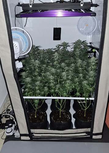 475835259_122166565496293599_5693307157860018307_n