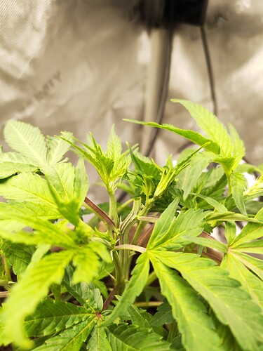 Growreport Bild 6