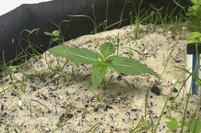 Growreport Bild 20