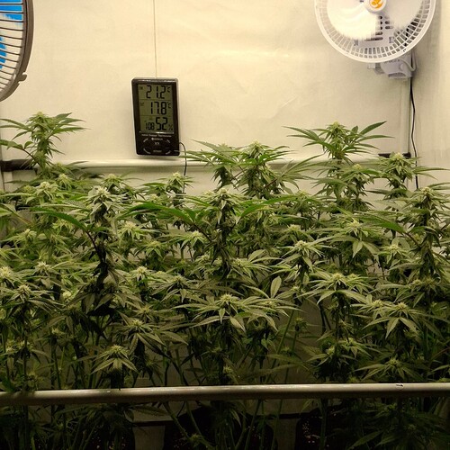 474763107_122165274302293599_1205350828019468932_n