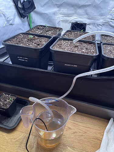 Growreport Bild 2