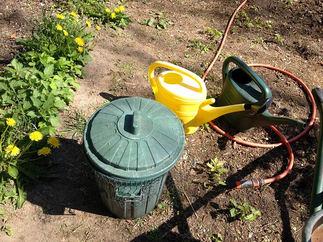Ein Gartenbereich mit einer grünen Mülltonne, einer gelben und einer grünen Gießkanne sowie einem Gartenschlauch auf dem Boden, umgeben von Löwenzahn und Brennnesseln.
