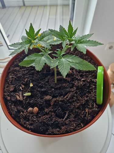 WhatsApp Image 2024-05-22 at 17.48.41 (2)