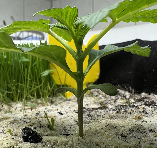 Growreport Bild 9