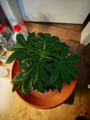 Growreport Bild 4
