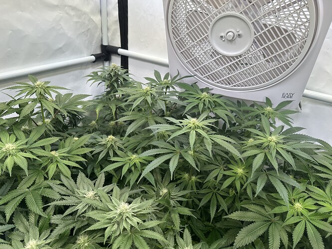 Growreport Bild 15