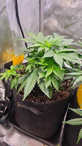 Growreport Bild 2