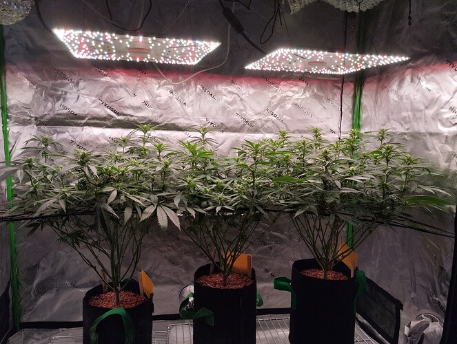Growreport Bild 2