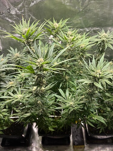 Foto 19.07.25, 05 58 31