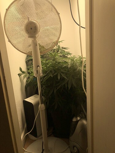 Growreport Bild 14