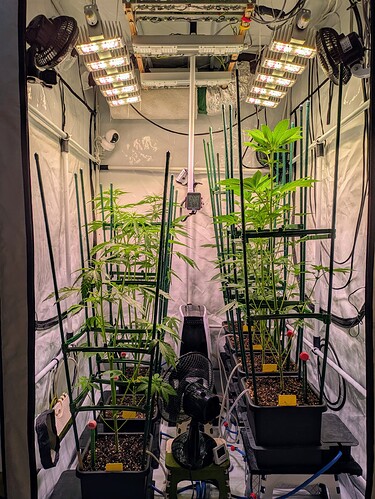 Growreport Bild 6