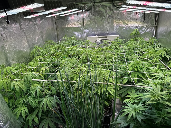 Growreport Bild 9