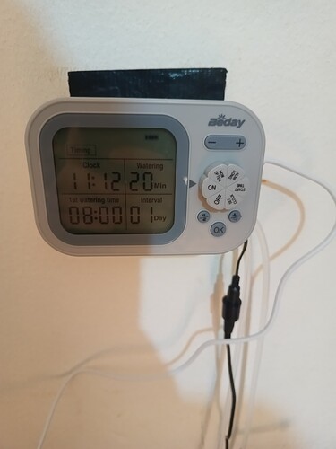 Growreport Bild 10