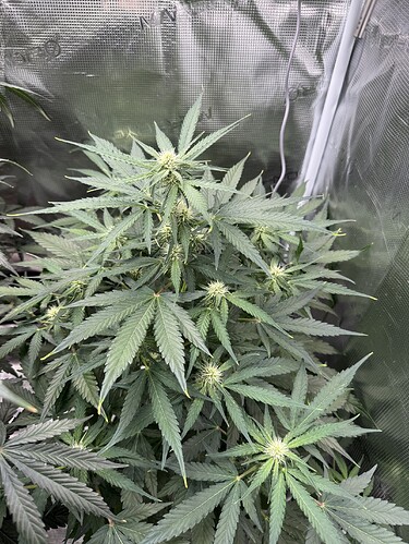 Growreport Bild 21