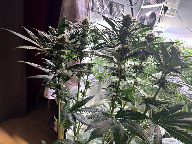 Growreport Bild 14