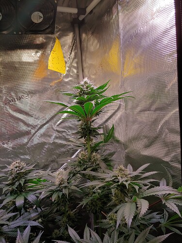 Growreport Bild 10