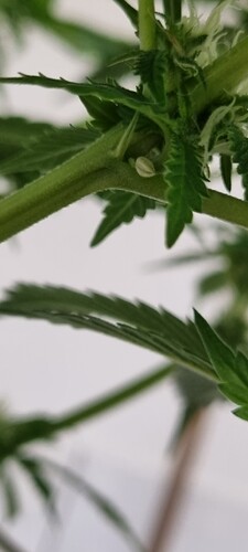 Growreport Bild 18