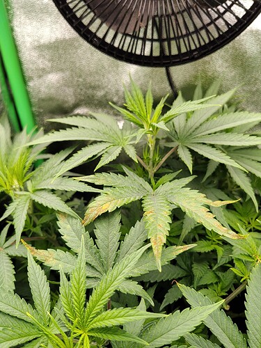 IMG_20240503_213544684