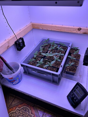 Growreport Bild 11