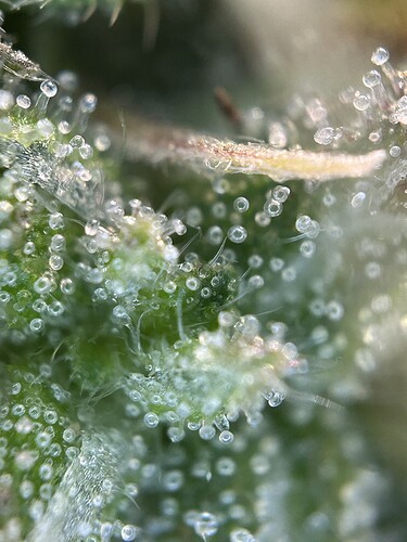 Growreport Bild 9