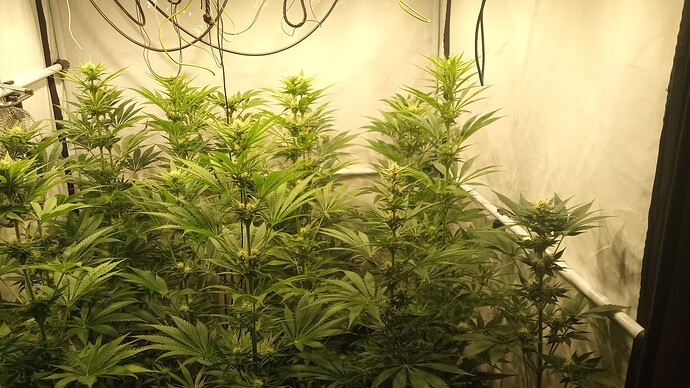 Growreport Bild 26