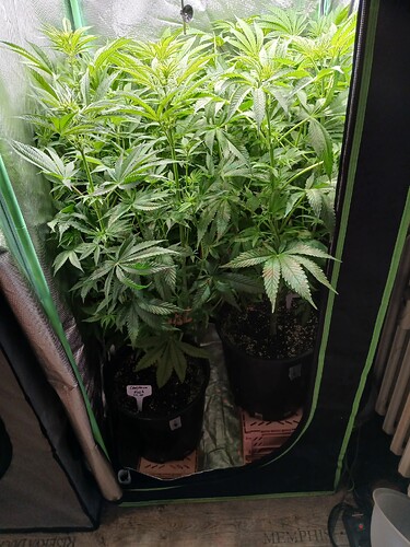 Growreport Bild 4