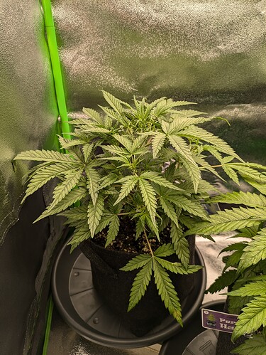 Growreport Bild 30