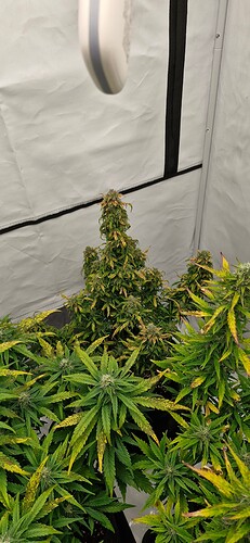 Growreport Bild 11