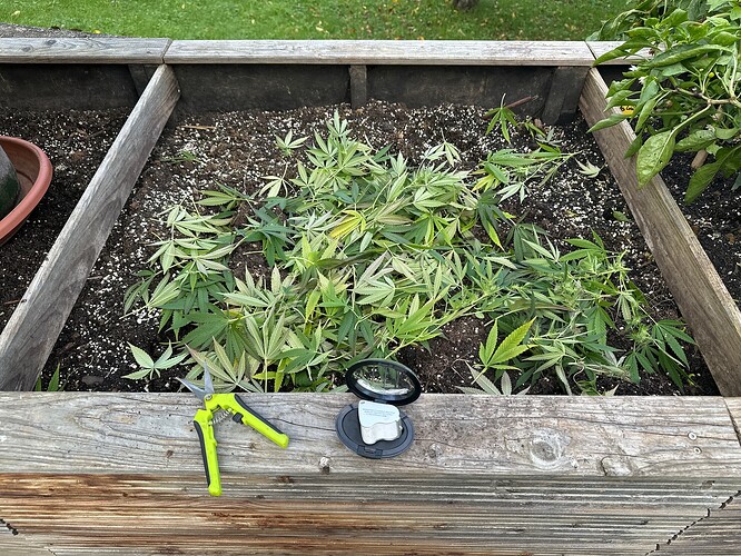 Growreport Bild 25