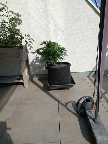 Growreport Bild 16