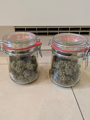 Growreport Bild 7