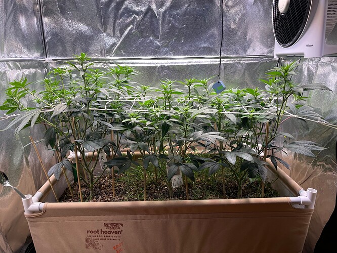 Growreport Bild 7