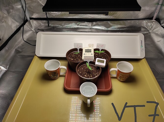 Growreport Bild 24