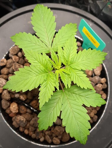 Growreport Bild 5
