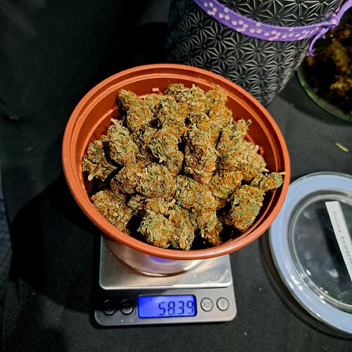 Growreport Bild 1
