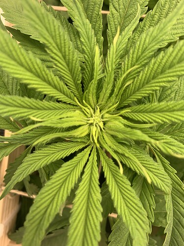 Growreport Bild 13