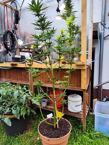 Growreport Bild 3