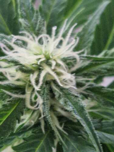 WhatsApp Image 2024-05-22 at 17.48.39 (4)