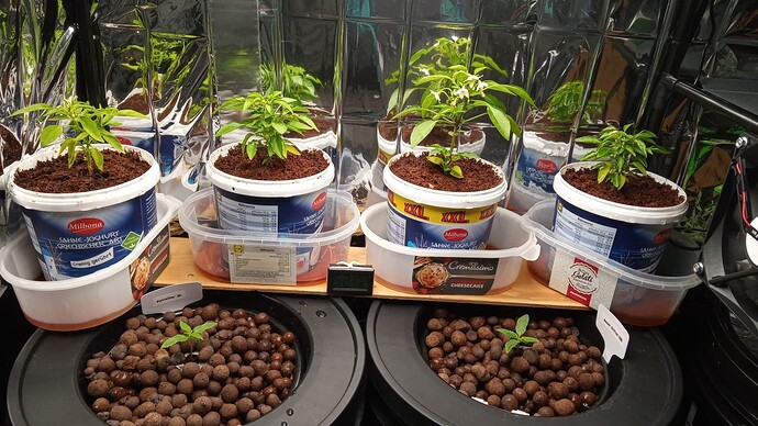 Growreport Bild 2