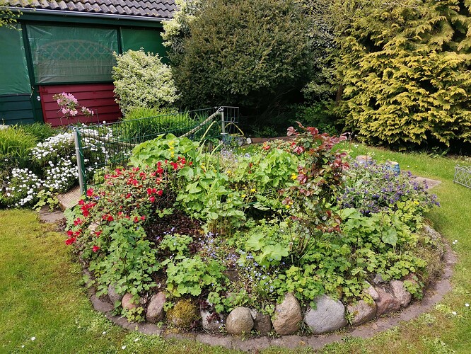 Garten (3)